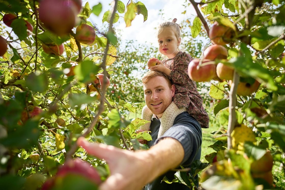 Glenbernie Orchard, Darkes Forest